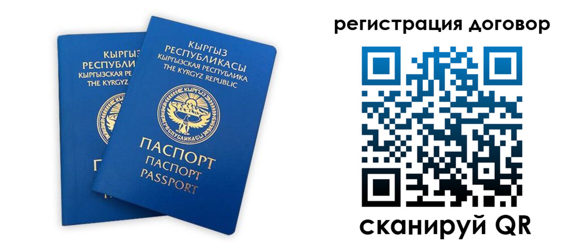 прописка законно в Ртищево